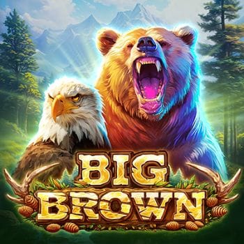 Big Brown Bear game cover